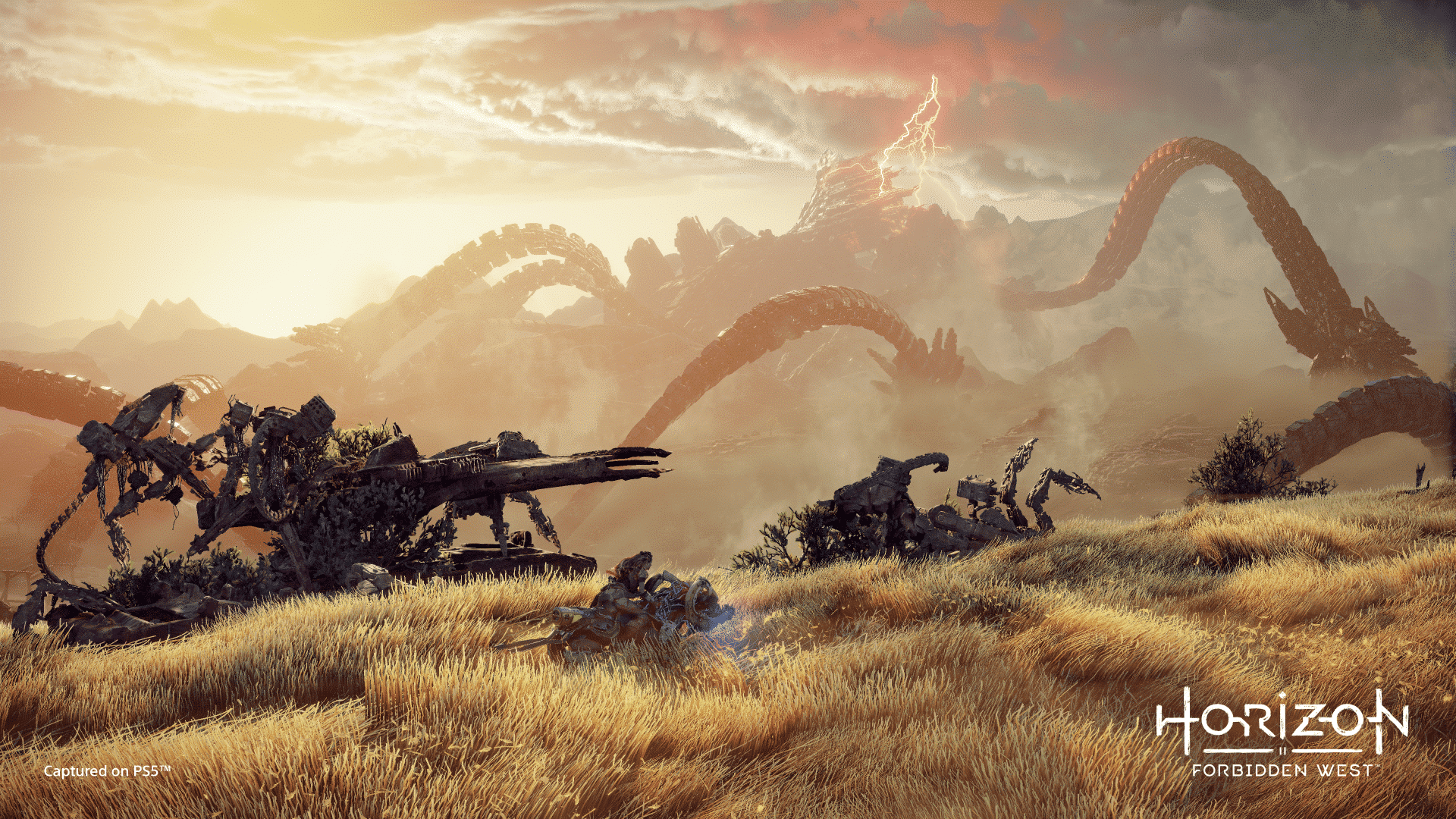 Opnieuw op robotjacht in Horizon Forbidden West